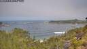 ./images/calvert/foggy-cove/20260722/foggy-cove20260722_105001M.jpg