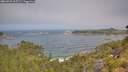 ./images/calvert/foggy-cove/20260722/foggy-cove20260722_105501M.jpg