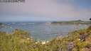 ./images/calvert/foggy-cove/20260722/foggy-cove20260722_110001M.jpg