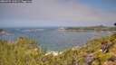./images/calvert/foggy-cove/20260722/foggy-cove20260722_110501M.jpg