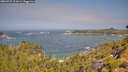 ./images/calvert/foggy-cove/20260722/foggy-cove20260722_111001M.jpg