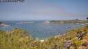 ./images/calvert/foggy-cove/20260722/foggy-cove20260722_111501M.jpg