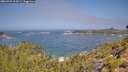 ./images/calvert/foggy-cove/20260722/foggy-cove20260722_112001M.jpg