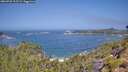 ./images/calvert/foggy-cove/20260722/foggy-cove20260722_112501M.jpg