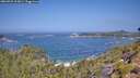 ./images/calvert/foggy-cove/20260722/foggy-cove20260722_113001M.jpg
