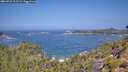 ./images/calvert/foggy-cove/20260722/foggy-cove20260722_113501M.jpg