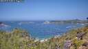 ./images/calvert/foggy-cove/20260722/foggy-cove20260722_114001M.jpg