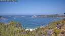 ./images/calvert/foggy-cove/20260722/foggy-cove20260722_115501M.jpg
