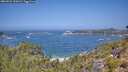 ./images/calvert/foggy-cove/20260722/foggy-cove20260722_120501M.jpg