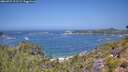 ./images/calvert/foggy-cove/20260722/foggy-cove20260722_121501M.jpg