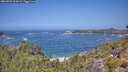 ./images/calvert/foggy-cove/20260722/foggy-cove20260722_122001M.jpg