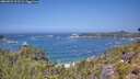 ./images/calvert/foggy-cove/20260722/foggy-cove20260722_122501M.jpg