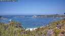 ./images/calvert/foggy-cove/20260722/foggy-cove20260722_123001M.jpg