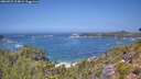 ./images/calvert/foggy-cove/20260722/foggy-cove20260722_124002M.jpg