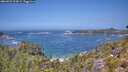 ./images/calvert/foggy-cove/20260722/foggy-cove20260722_124501M.jpg
