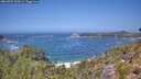 ./images/calvert/foggy-cove/20260722/foggy-cove20260722_125001M.jpg