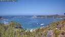 ./images/calvert/foggy-cove/20260722/foggy-cove20260722_125501M.jpg