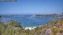 ./images/calvert/foggy-cove/20260722/foggy-cove20260722_131501M.jpg