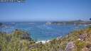 ./images/calvert/foggy-cove/20260722/foggy-cove20260722_133002M.jpg