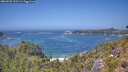 ./images/calvert/foggy-cove/20260722/foggy-cove20260722_133501M.jpg