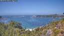 ./images/calvert/foggy-cove/20260722/foggy-cove20260722_141001M.jpg