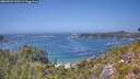 ./images/calvert/foggy-cove/20260722/foggy-cove20260722_143501M.jpg