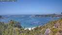 ./images/calvert/foggy-cove/20260722/foggy-cove20260722_144001M.jpg