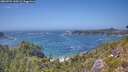 ./images/calvert/foggy-cove/20260722/foggy-cove20260722_144501M.jpg