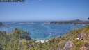 ./images/calvert/foggy-cove/20260722/foggy-cove20260722_145501M.jpg