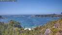 ./images/calvert/foggy-cove/20260722/foggy-cove20260722_150502M.jpg