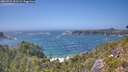 ./images/calvert/foggy-cove/20260722/foggy-cove20260722_151501M.jpg