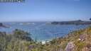 ./images/calvert/foggy-cove/20260722/foggy-cove20260722_154001M.jpg
