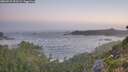 ./images/calvert/foggy-cove/20260723/foggy-cove20260723_053501M.jpg