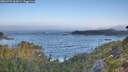 ./images/calvert/foggy-cove/20260723/foggy-cove20260723_065001M.jpg
