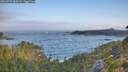 ./images/calvert/foggy-cove/20260723/foggy-cove20260723_065502M.jpg