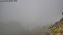 ./images/calvert/foggy-cove/20260723/foggy-cove20260723_071501M.jpg