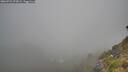 ./images/calvert/foggy-cove/20260723/foggy-cove20260723_072002M.jpg