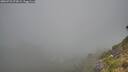 ./images/calvert/foggy-cove/20260723/foggy-cove20260723_073001M.jpg