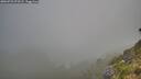 ./images/calvert/foggy-cove/20260723/foggy-cove20260723_073501M.jpg