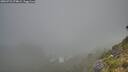 ./images/calvert/foggy-cove/20260723/foggy-cove20260723_074002M.jpg