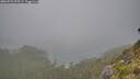 ./images/calvert/foggy-cove/20260723/foggy-cove20260723_075501M.jpg