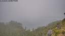 ./images/calvert/foggy-cove/20260723/foggy-cove20260723_082001M.jpg