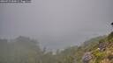 ./images/calvert/foggy-cove/20260723/foggy-cove20260723_084001M.jpg