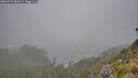 ./images/calvert/foggy-cove/20260723/foggy-cove20260723_084501M.jpg