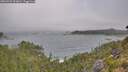 ./images/calvert/foggy-cove/20260723/foggy-cove20260723_091001M.jpg