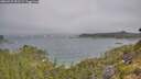 ./images/calvert/foggy-cove/20260723/foggy-cove20260723_092501M.jpg