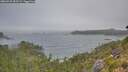 ./images/calvert/foggy-cove/20260723/foggy-cove20260723_093502M.jpg