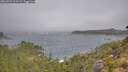 ./images/calvert/foggy-cove/20260723/foggy-cove20260723_101501M.jpg