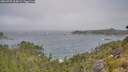 ./images/calvert/foggy-cove/20260723/foggy-cove20260723_103002M.jpg