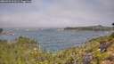 ./images/calvert/foggy-cove/20260723/foggy-cove20260723_103501M.jpg